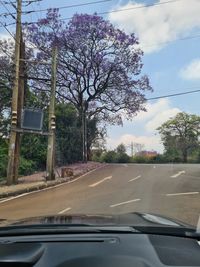 Road seen through car windshield