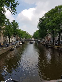 Canal amidst trees against sky in city