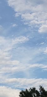 Low angle view of trees against sky