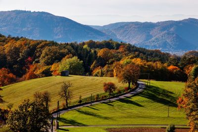 Scenic view of landscape against sky during autumn