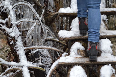 Low section of person walking on snow covered steps by frozen plants