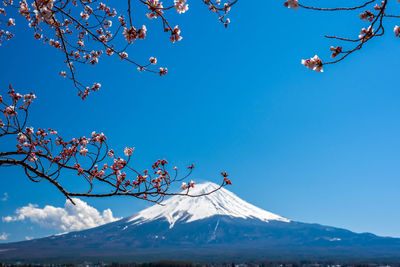 Low angle view of snowcapped mountain against blue sky