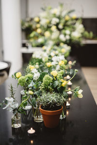 Potted plants on table