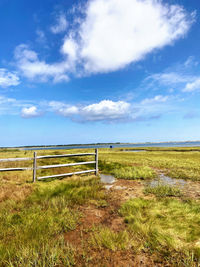 Scenic view of field against sky