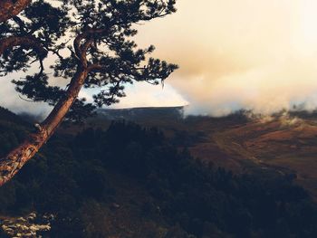 Scenic view of landscape against cloudy sky