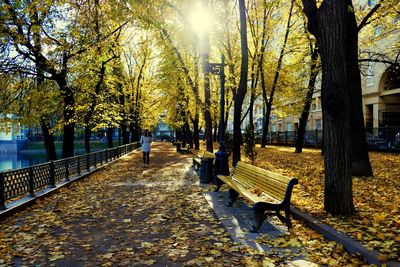 Bench in park during autumn