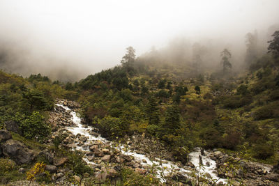 Scenic view of landscape against sky during foggy weather