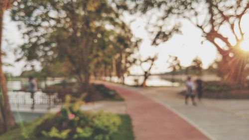 People riding bicycle in park