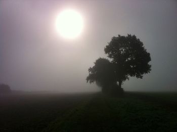 Scenic view of landscape against sky during foggy weather