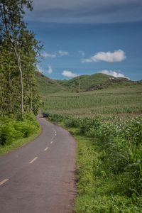 Road amidst green landscape against sky