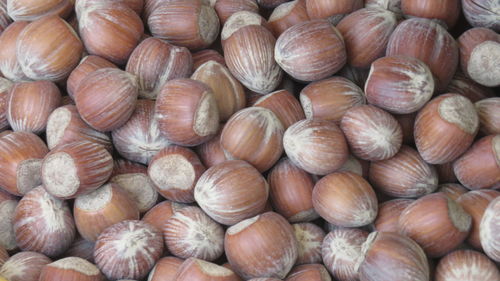 Full frame shot of hazelnuts