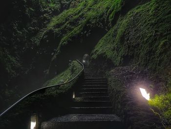 Staircase amidst illuminated trees at night