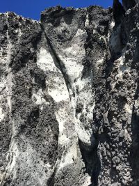 Close-up of dead plant against sky