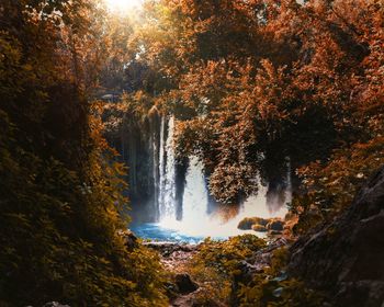 Scenic view of waterfall in forest during autumn