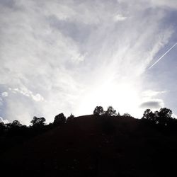 Low angle view of silhouette trees against sky