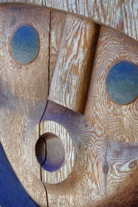 Full frame shot of lizard on wood