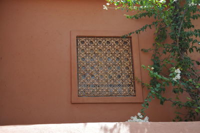 Low angle view of potted plant on wall of building