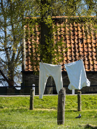 Clothes drying on clothesline on field against trees