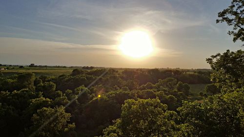 Scenic view of landscape against bright sun