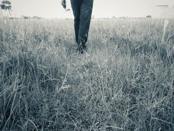 Low section of man walking on field