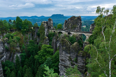 Panoramic view of trees and plants against cloudy sky