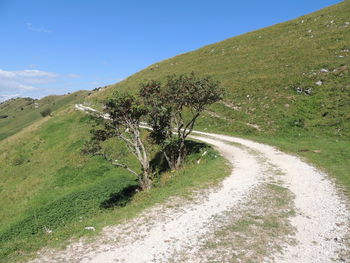 Scenic view of road amidst field against sky