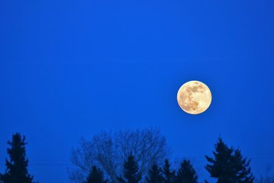 Low angle view of moon against blue sky