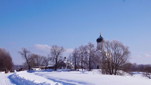 Bare trees on snow covered landscape