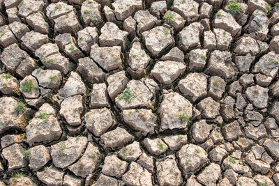 Full frame shot of cracked field
