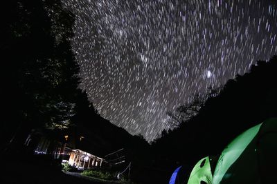 Low angle view of illuminated trees against sky at night