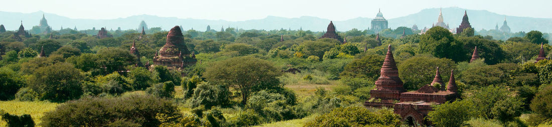 Panoramic view of trees on landscape against sky