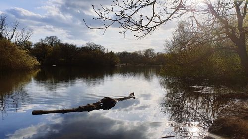 View of ducks swimming on lake