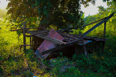 Old wooden structure amidst trees in forest against sky