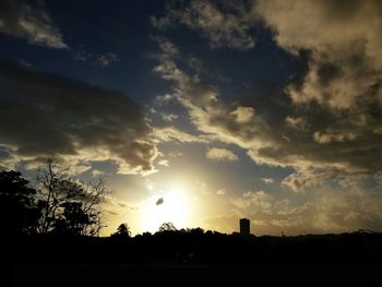 Silhouette of trees at sunset