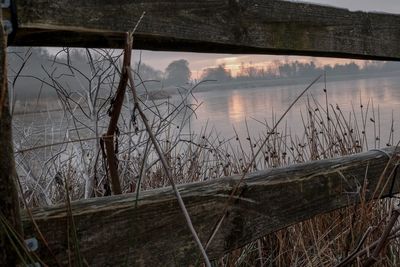 Reflection of bare trees in lake against sky