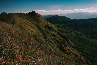 Scenic view of landscape against sky