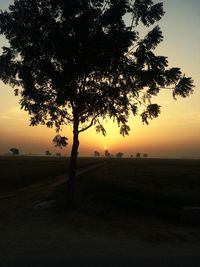 Silhouette tree on field against sky at sunset