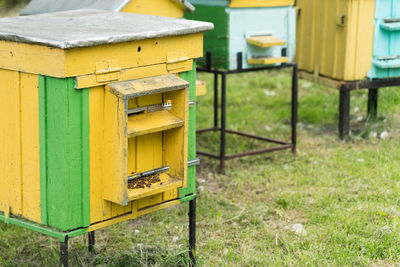 Wooden beehive with the family of bees