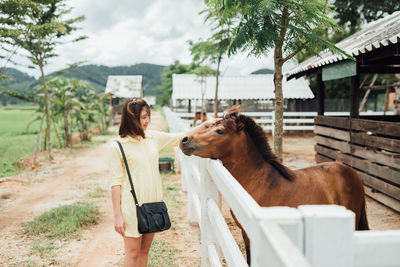 Woman touching horse at stable