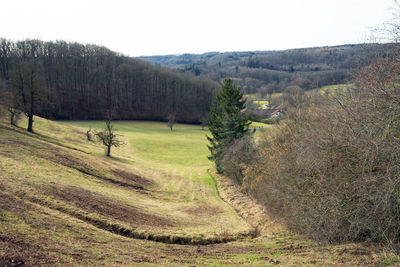 Scenic view of land against sky