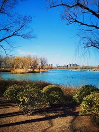 Scenic view of lake against clear blue sky