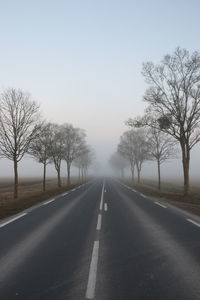 Road amidst bare trees against clear sky