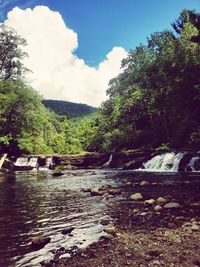 Scenic view of river amidst trees against sky