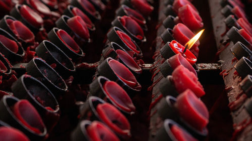 Full frame shot of red flower