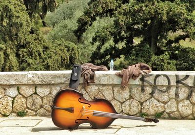 Violin on footpath against retaining wall by trees