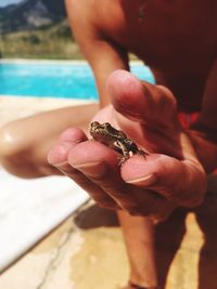 Close-up of hand holding crab at beach