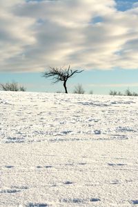 Scenic view of snow covered field against sky
