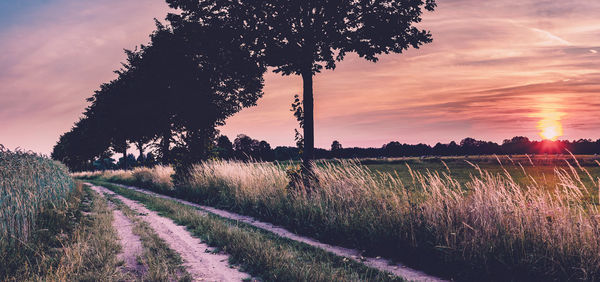 Scenic view of field against sky during sunset