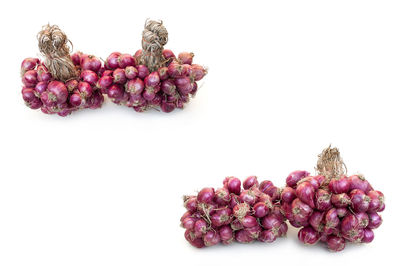 Close-up of berries against white background