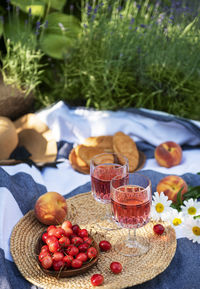 Picnic outdoors in lavender fields. rose wine in a glass, cherries and straw hat on blanket